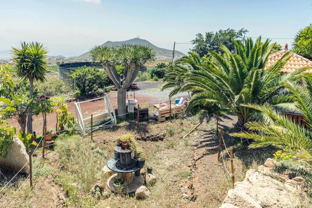 Apartamento B Armonia Rural Granadilla De Abona Bagian luar foto
